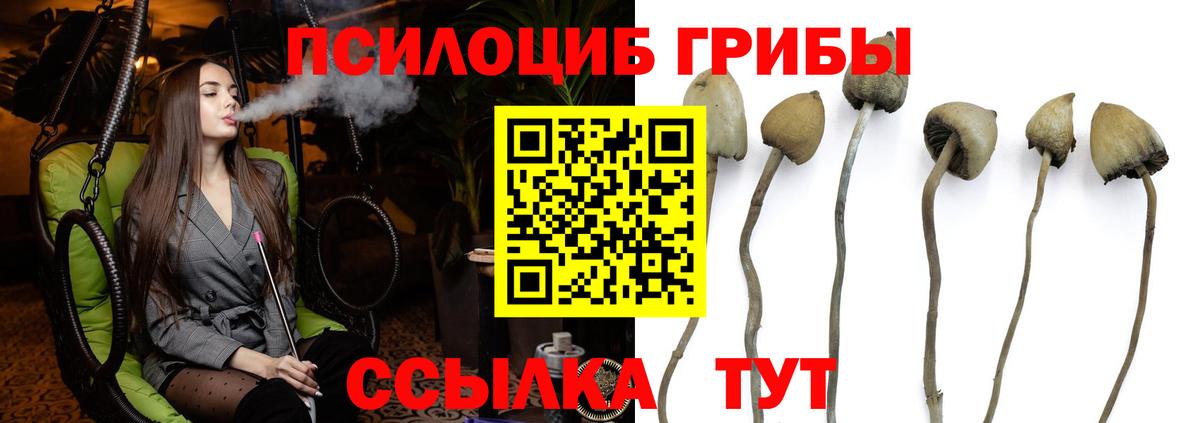 Волжский  Галлюциногенные грибы Psilocybine cubensis  Вход с VPN  закладки  Галлюциногенные грибы GOLDEN TEACHER 